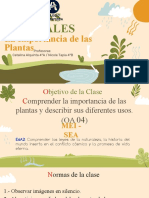 Importancia de Las Plantas II 2022