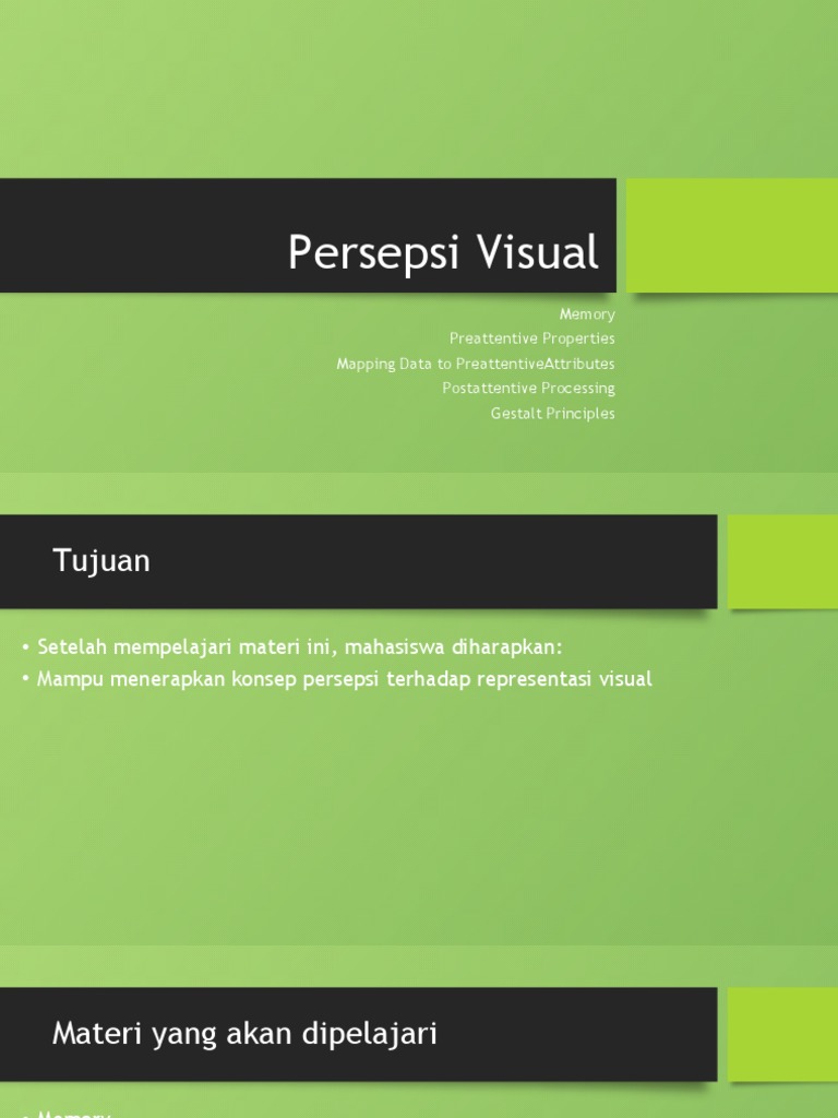 EVD-10 Persepsi Visual | PDF