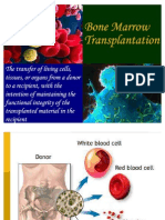 Bone Marrow Transplant