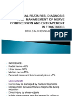 Clinical Features, Diagnosis and Management of Nerve