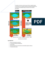EUTROFIZAÇÃO