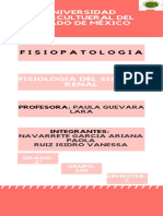 Fisiología renal: Filtración, reabsorción y regulación del sodio