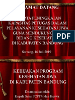 Peningkatan Kapasitas PETUGAS KESWA 2019