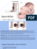 Spina Bifida Group Project - Copy 2