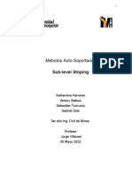 Informe Final Sublevel Stoping