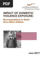 DVSAT Guide for Domestic Violence Assessment | PDF | Violence ...