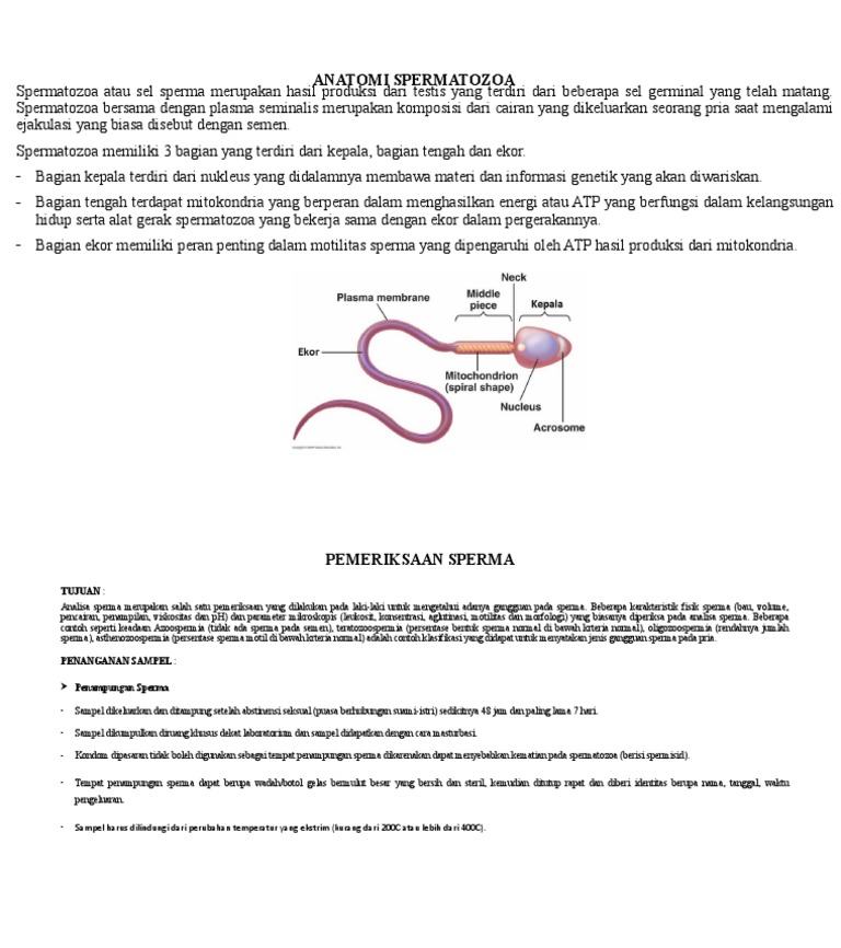 Juda chiroyli ayol ozini eshakda berdi