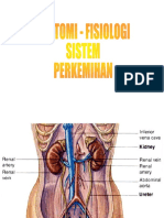 Anfis Perkemihan