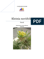 Klenia Neriifolia