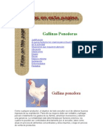 Gallinas Ponedoras