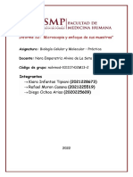 Informe N2 Biologia - Práctica