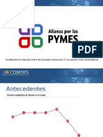 Alianza Por Las PYMES 2010