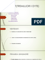 Projekt PDF