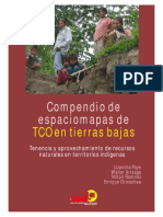 compendio_de_espaciomapas_de_tco_en_tierras_bajas