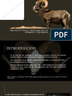 Proyecto Nanobiomateriales