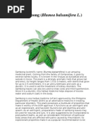 Medical - Plants - of - Myanmar - PDF Filename - UTF-8