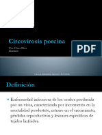 5.1 Circovirus Porcino