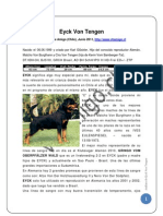 Profile: Eyck Von Tengen - Spanish