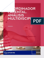 Coordinador Parental Analisis Multidisciplinar