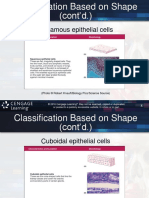 Types of Tissue