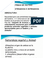 Cultivos Extensivos e Intensivos