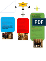 Mapa Conceptual - Viticultura