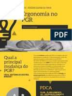 NR 01 - PGR Ergonomia