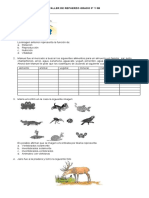 Taller de Refuerzo Grado 3