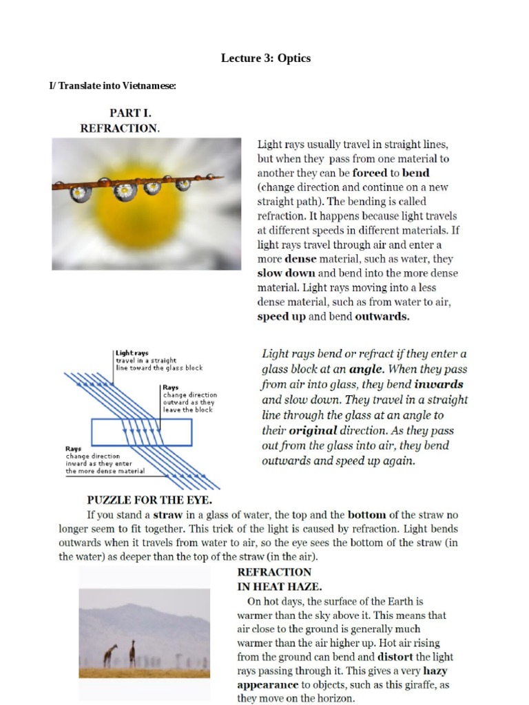 Lecture 3 Optics I/ Translate Into Vietnamese PDF Waves