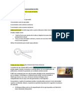 Evaluaciones Dirigidas A La Funcionalidad de MSS