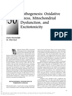 Pathogenesis: Oxidative Stress, Mitochondrial Dysfunction, and Excitotoxicity
