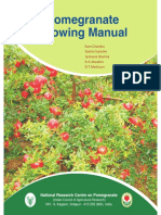 Pomegranate Growing Manual: Ram Chandra Sachin Suroshe Jyotsana Sharma R. A. Marathe D. T. Meshram