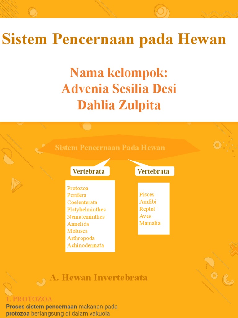 Makalah Sistem Pencernaan Hewan | PDF