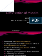 Muscle Classification and Structure