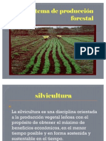 Sistemas de Produccion