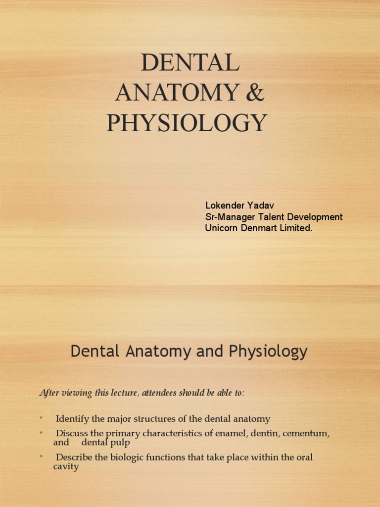 Basics of Dental Anatomy PDF Human Tooth Dental Anatomy