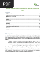 Module 3 Reflective Essay Guidance