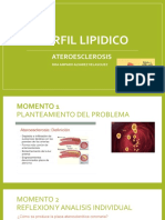 Perfil Lipidico: Ateroesclerosis