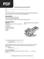 Synfrog Lab Worksheet