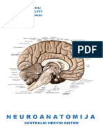 Neuroanatomija - C N S