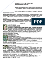 PDF Planta Piloto de Leche La Molina DL