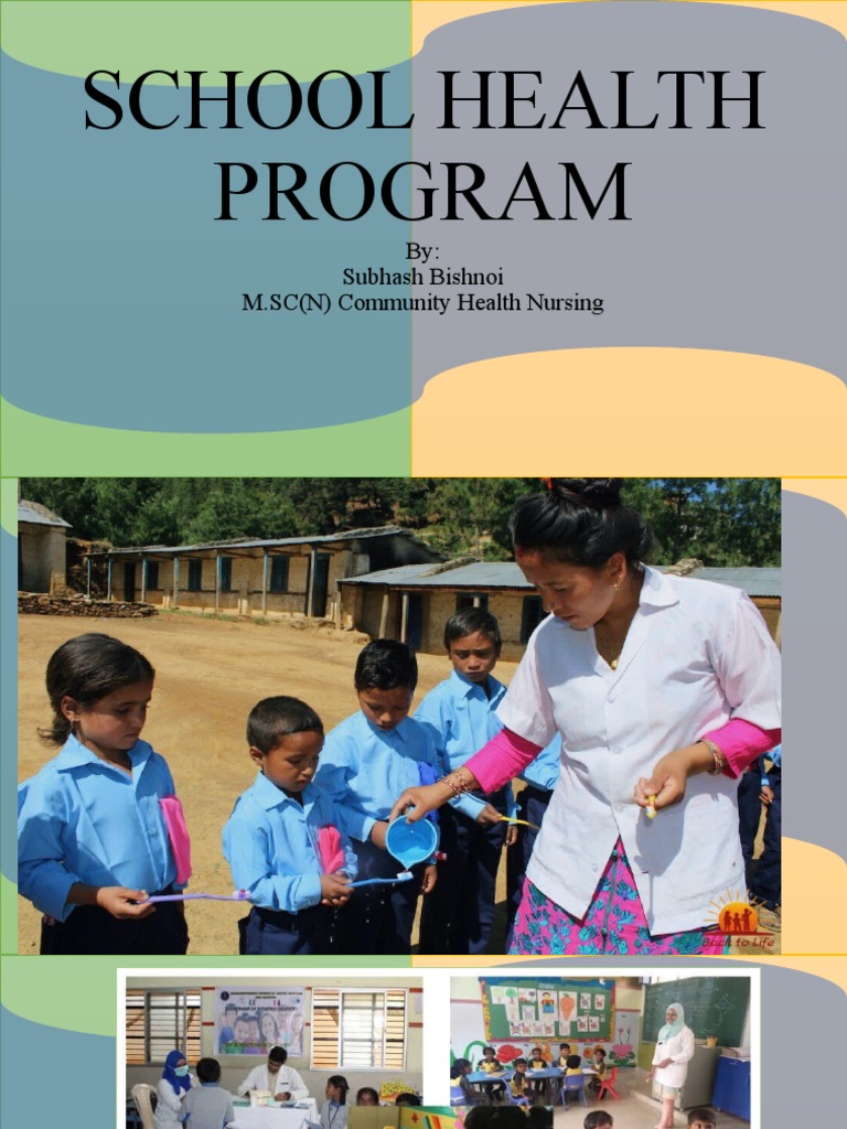 school-health-program-pdf-health-care-health-promotion