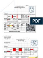 Práctica Rocas Ígneas