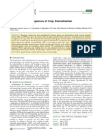 Genetics and Consequences of Domestication