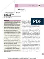 Citologı A: 4.1: Terminología en Citología Cervical: El Sistema de Bethesda