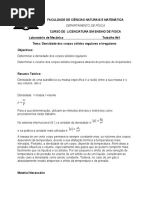 1 Densidade Dos Corpos Solidos