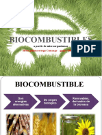 Biocombustible INFORME