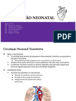 Circulação Neonatal