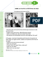 Ciencias Plantas Chilenas 2articles-29472_recurso_doc