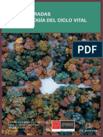 Psico Ciclo Vital